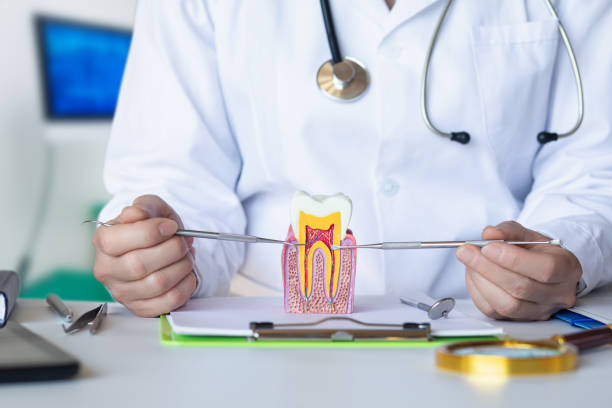 Best Walk-In Emergency Dentist in Marine City, MI